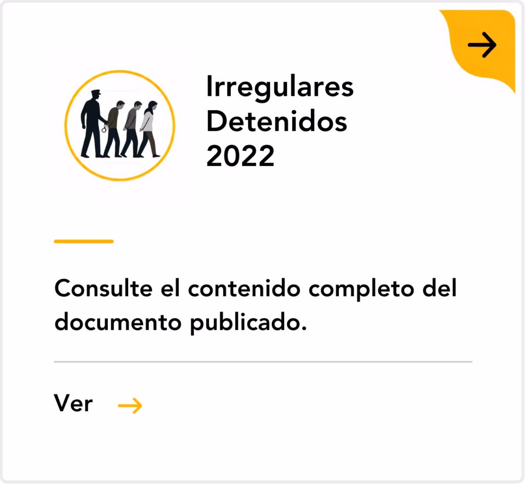 Irregulares Detenidos 2022