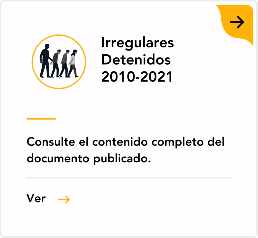 Irregulares Detenidos 2024