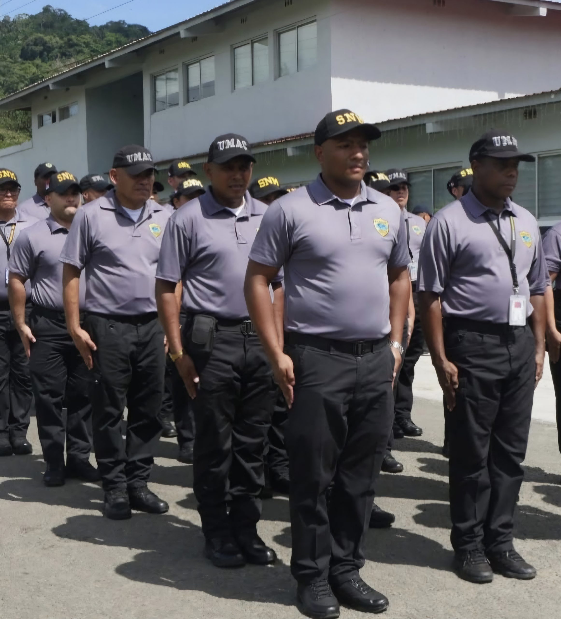 6 de diciembre foto 1